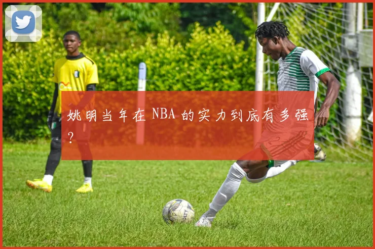 姚明当年在 NBA 的实力到底有多强？